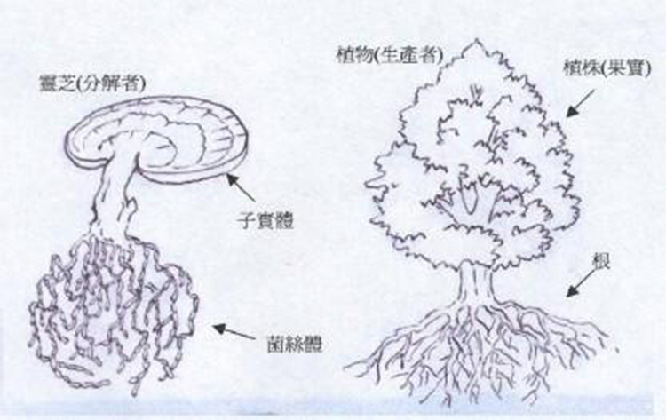 凯发k8天生赢家一触即发生活史