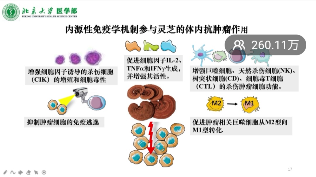 凯发k8天生赢家一触即发免疫